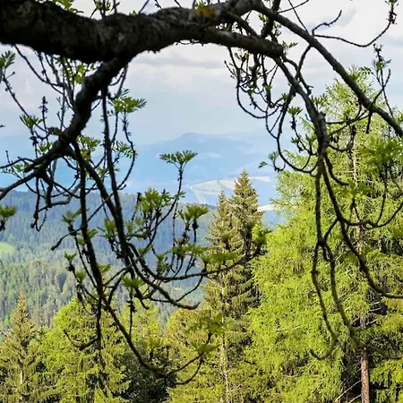 Schaffer Apartamento