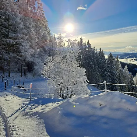 Apartment Schaffer *